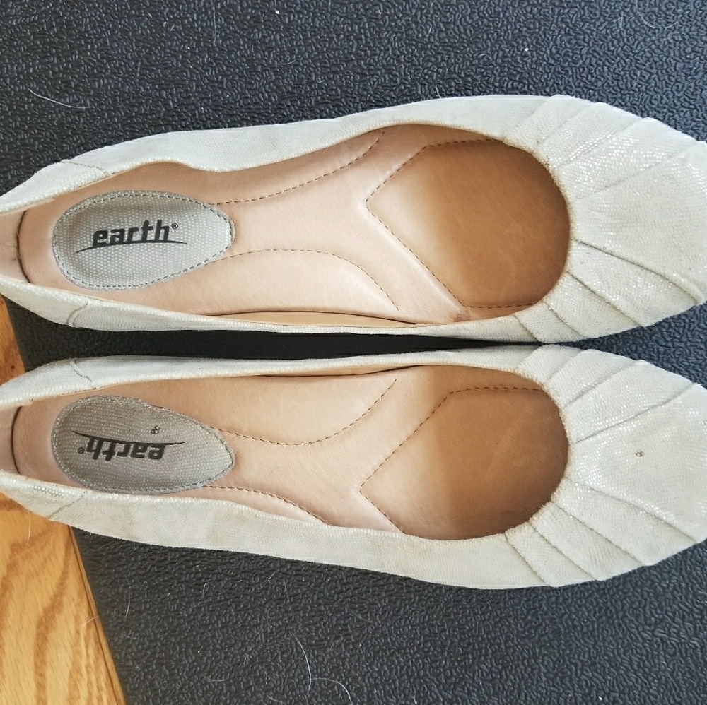 Earth bellwether flats